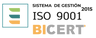 Icono